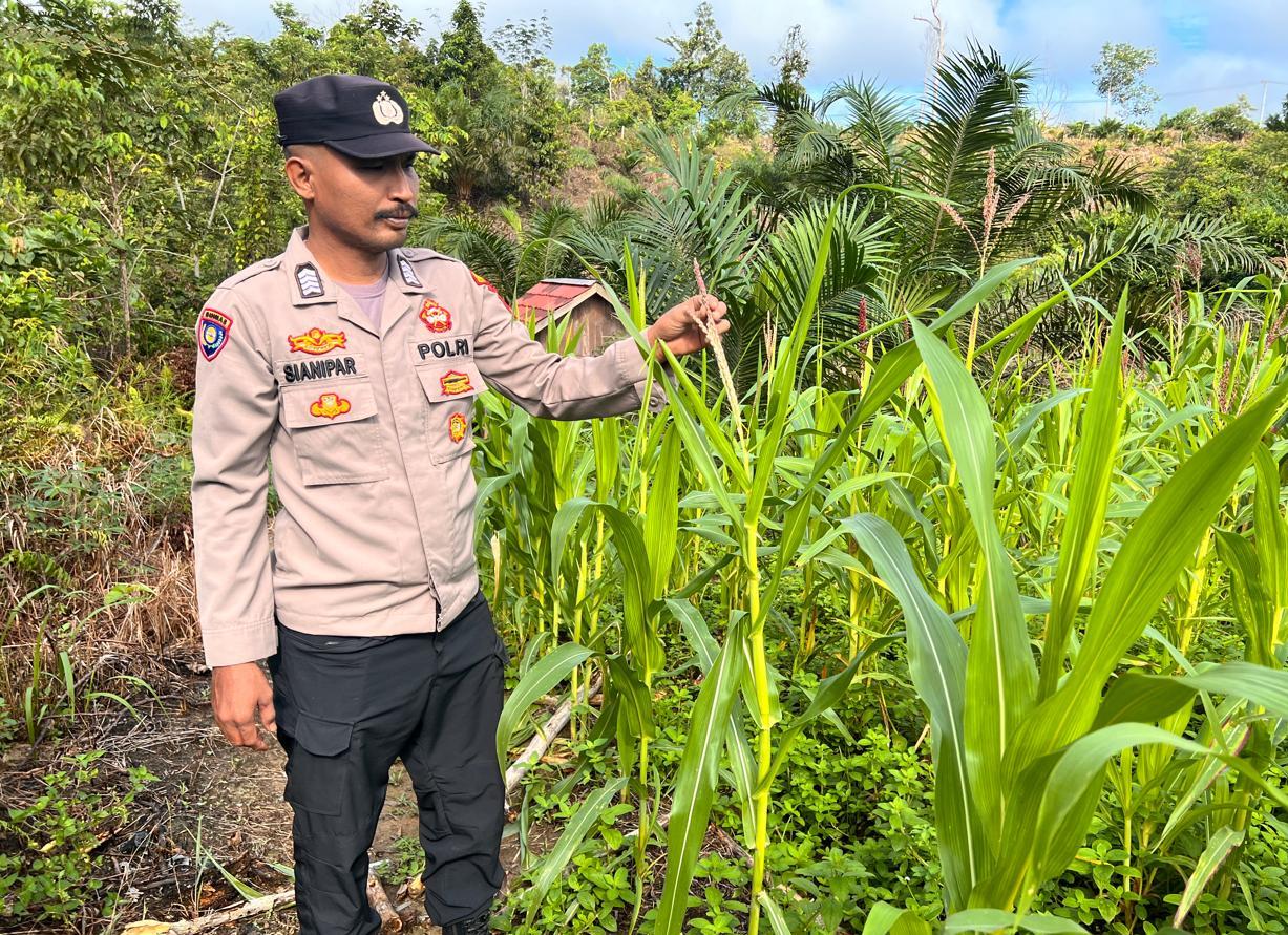 Mendukung Ketahanan Pangan, Personil Polsek sanaman mantikei Cek Lokasi Pemanfaatan Pekarangan Warga.