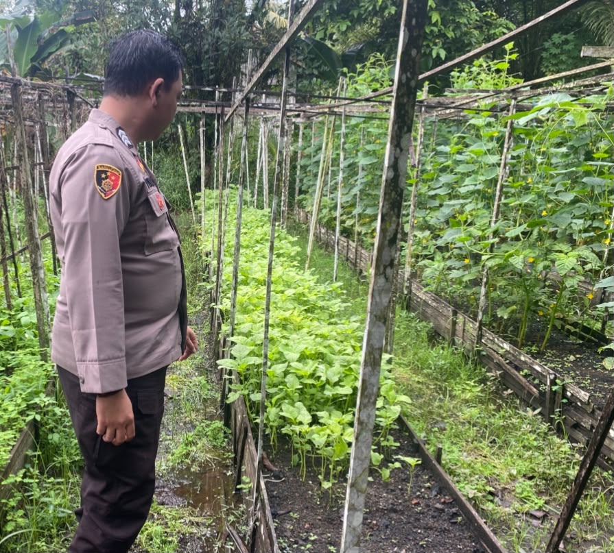 Mendukung Ketahanan Pangan, Personil Polsek sanaman mantikei Cek Lokasi Pemanfaatan Pekarangan Warga.