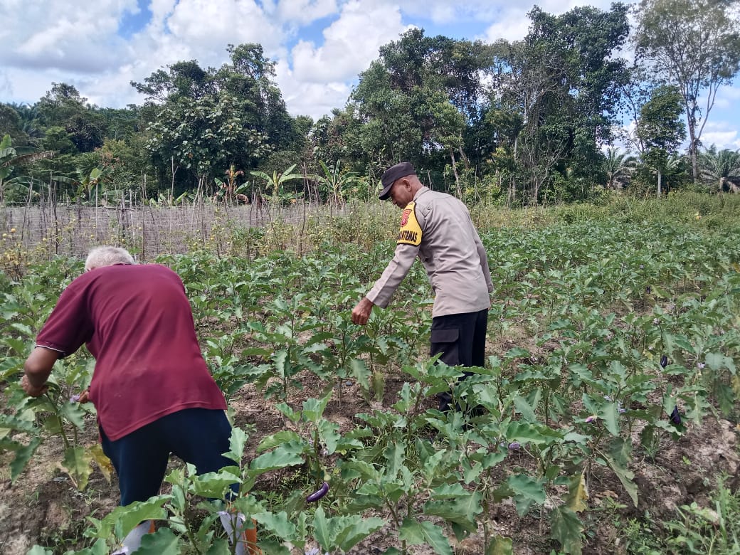 Mengakar dari Pekarangan, Tumbuh untuk Ketahanan Pangan