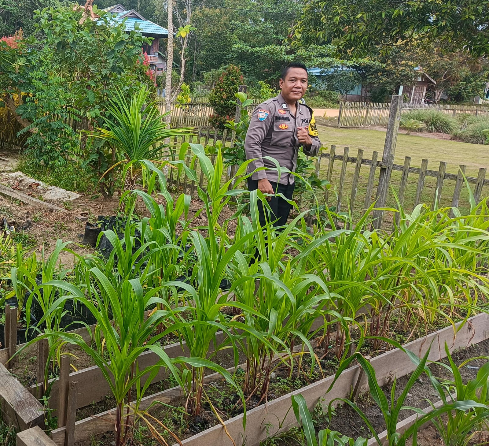 Mendukung Ketahanan Pangan, Personil Polsek Katingan Hulu Cek Lokasi Pemanfaatan Pekarangan Warga.
