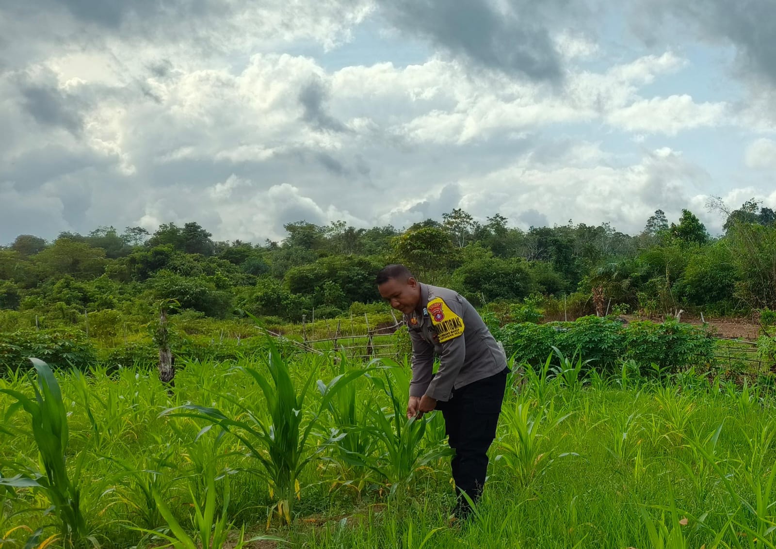 Mendukung Ketahanan Pangan, Personil Polsek Katingan Hulu Cek Lokasi Pemanfaatan Pekarangan Warga.