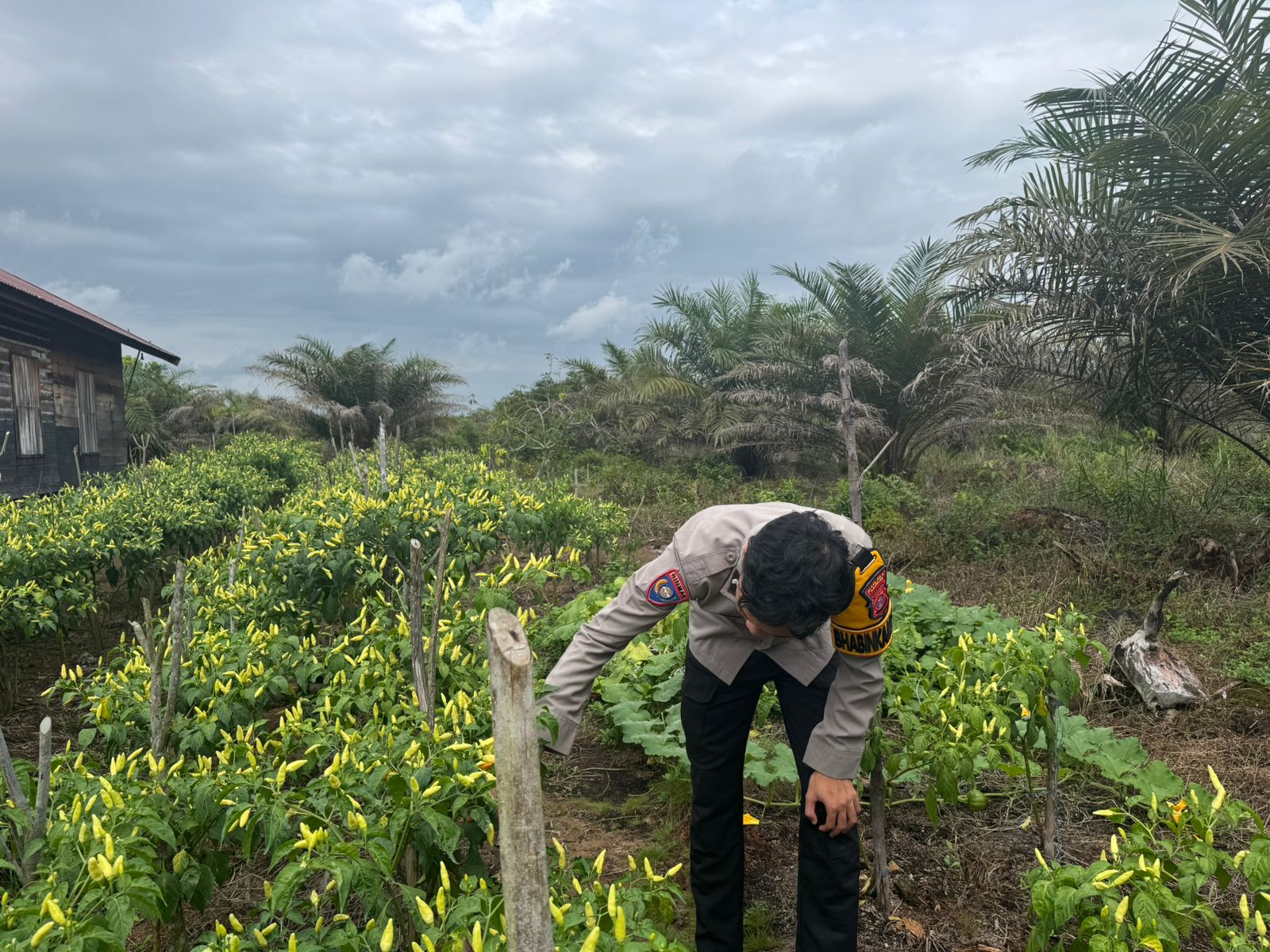 Polsek Tewang Sangalang Garing dan Pulau Malan Imbau Warga Tingkatkan Pemanfaatan Lahan Untuk Ketahanan Pangan